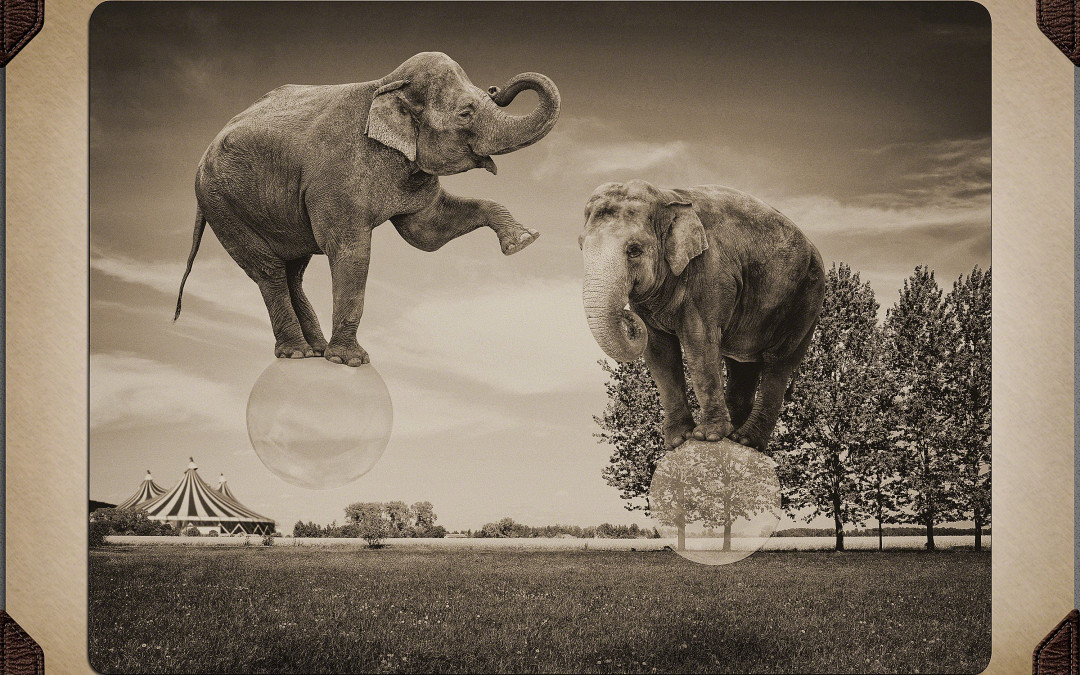 Photoshop Composition