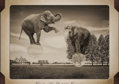 Photoshop Composition